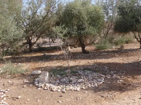 Satılık Bahçe — Altay, Konak