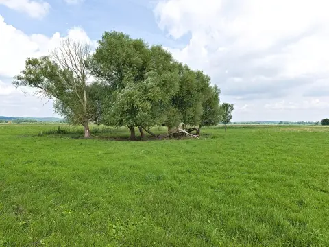 Satılık Arsa — Ali Ihsan Paşa, Merkez