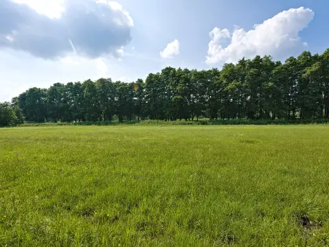 Satılık Arsa — Kinik, Merkez