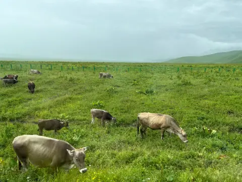 Satılık Arsa — Altay, Konak